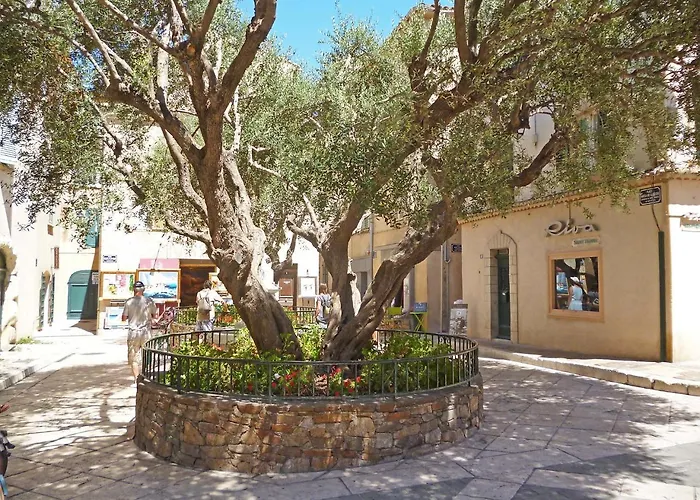 Apartment Eden Parc-4 By Interhome Saint-Tropez